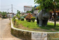 Drive to Chitwan (2.5hrs)