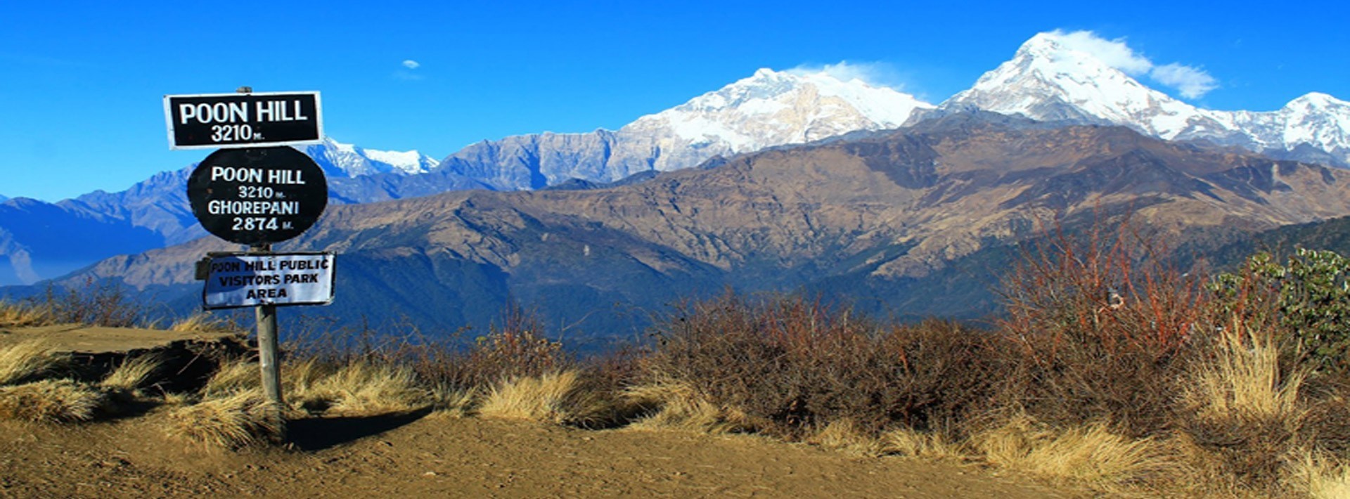 Poon Hill (3210 m). Trek to Nayapul. 