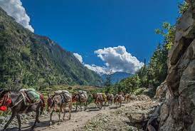  Trek Pisang to Manang