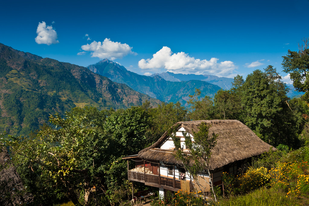 Fly to Taplejung. Trek to Mitlung(909m)'