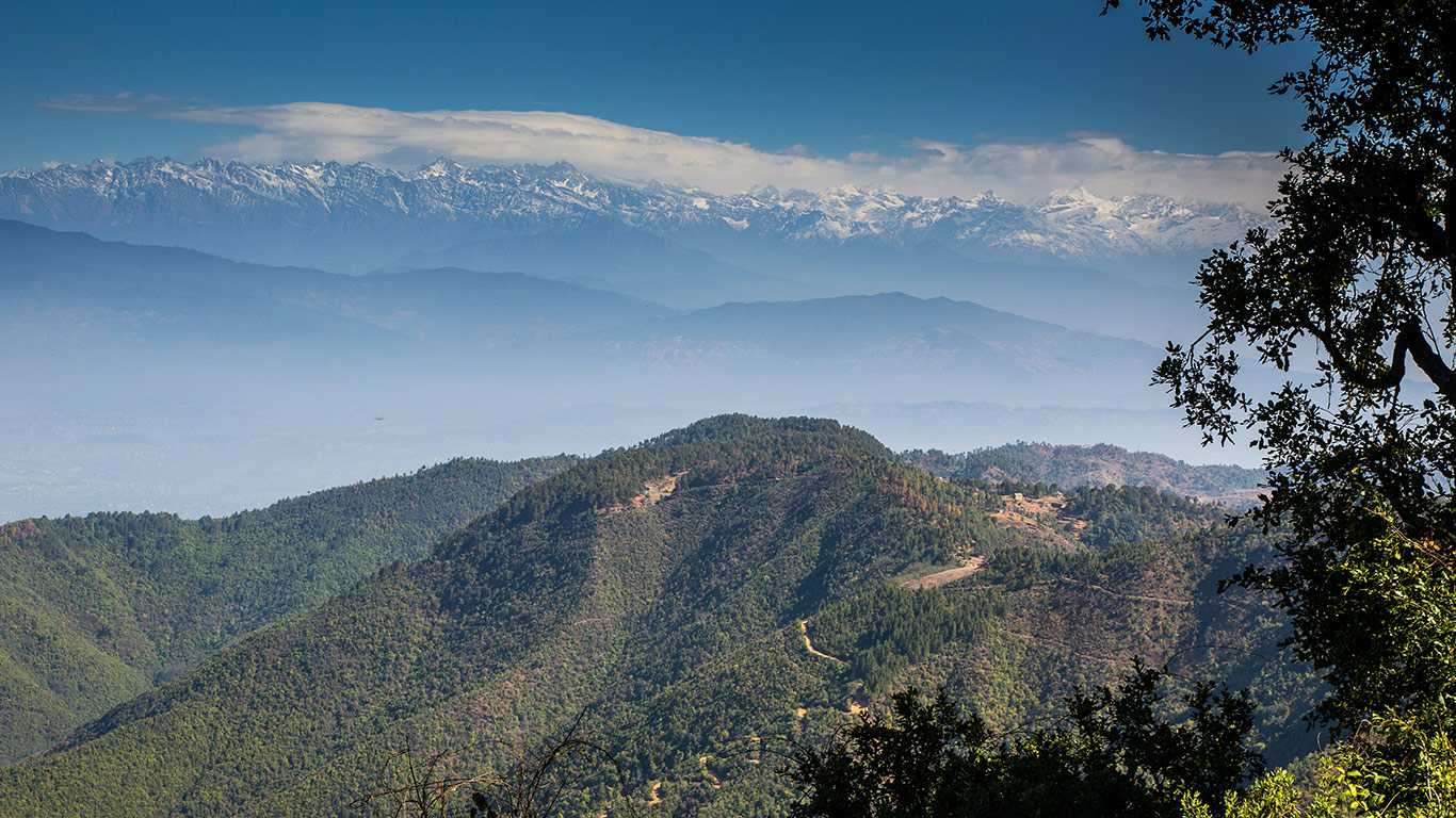 Bird watching hike at Phulchoki and Godavari botanical garden.'