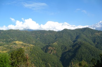 Drive to Nayapul.Trek to Ulleri (1960 m)'