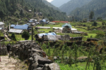 Trek to Thado Kosi (6,367m) and Lunch