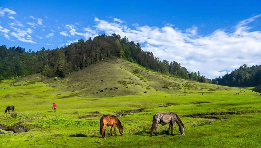 Trek from Jholunge Pul to Kolti.'