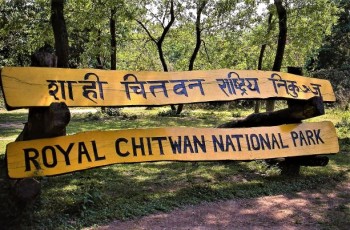 Wildlife activities in Chitwan National Park'