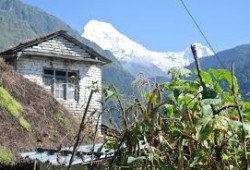 Drive from Pokhara to Nayapul. Trek to Ulleri