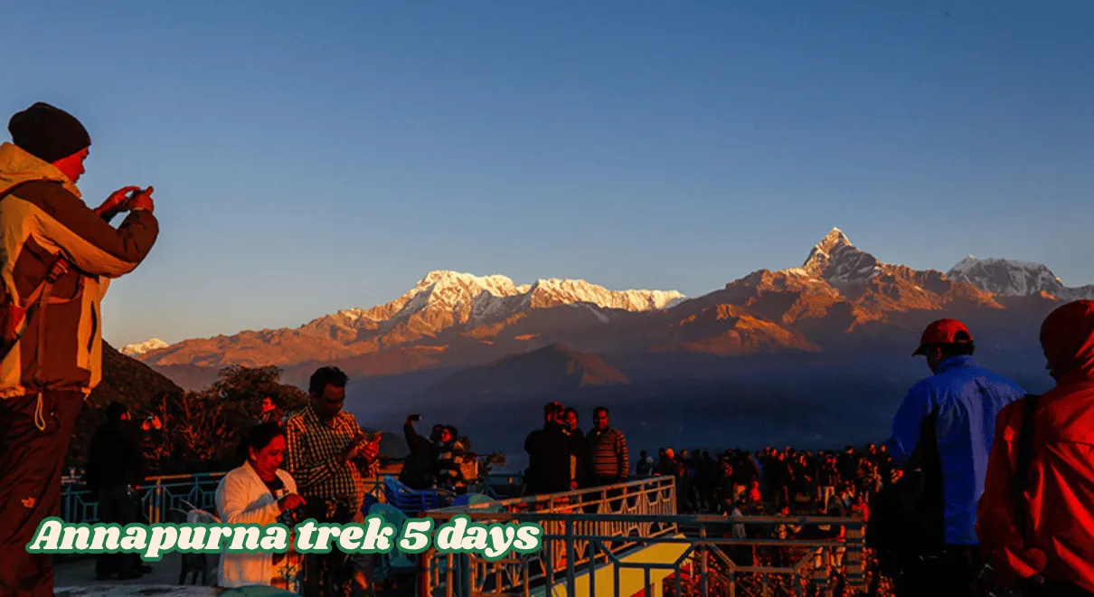 Annapurna Trek 5 Days scenic mountain views rhododendron forest traditional villages Nepal trekking route