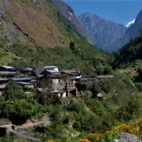 Bimthang - Tilje