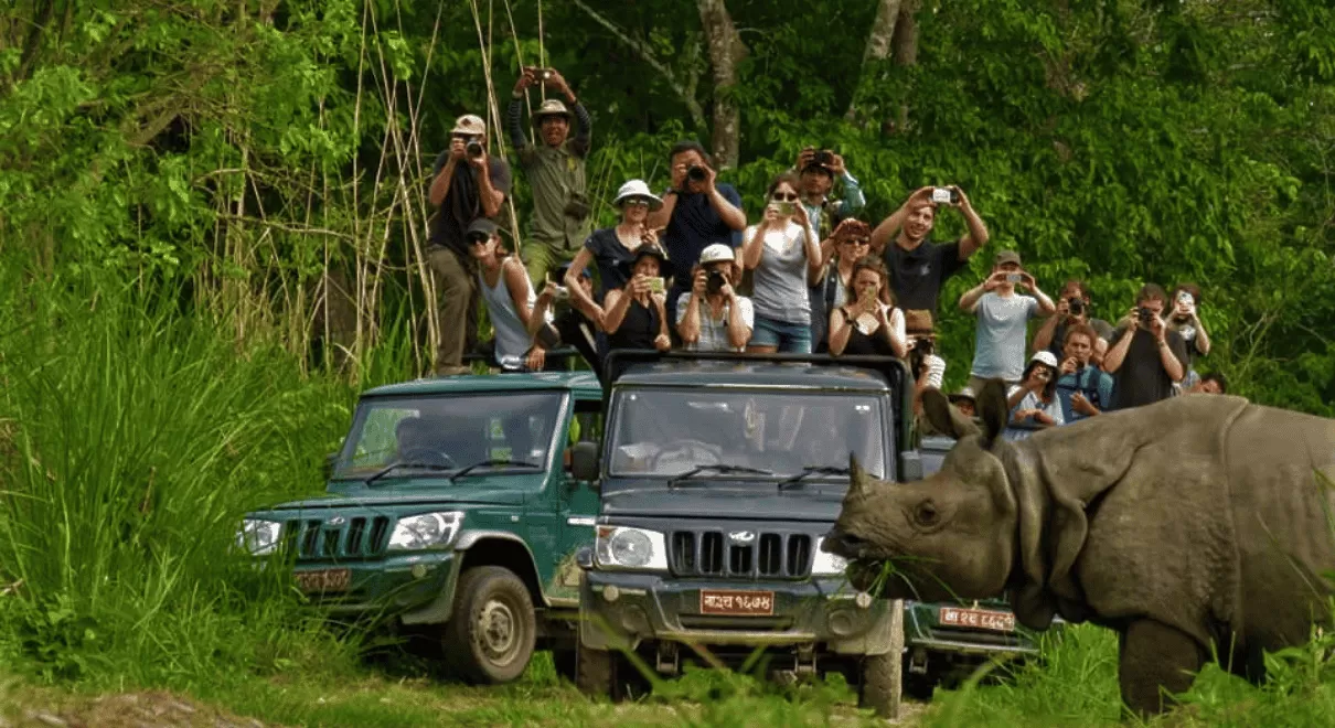 tourists enjoying elephant safari in Chitwan National Park Nepal