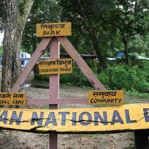 Drive to Chitwan National Park.