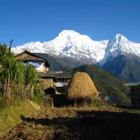 Drive to Nayapul & Trek to Ghandruk (1,940m)