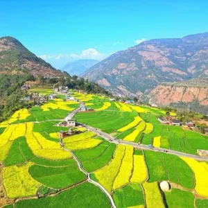 Drive to Tatopani. Trek to Babiyachaur.
