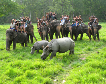 Chitwan National Park Wildlife Safari