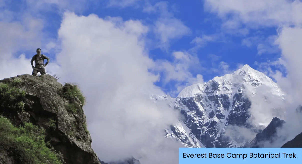 Lush green rhododendron forest along Everest Base Camp trek during monsoon season