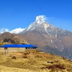 Forest Camp to High Camp