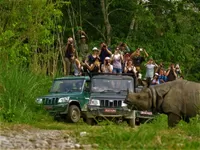 Full day with Jungle activities inside national park