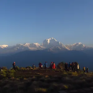 Ghorepani to Nayapul, Drive to Pokhara (822m)