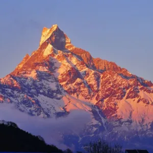 High Camp – Mardi Himal Viewpoint – Return to Pokhara