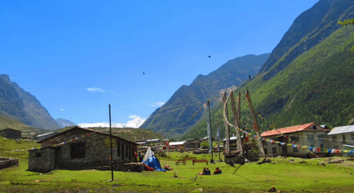 Langtang Valley Botanical Trek showing vibrant wildflower meadows with Himalayan peaks during monsoon season Nepal