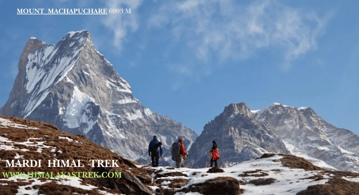 Mardi Himal Base Camp with mountain views