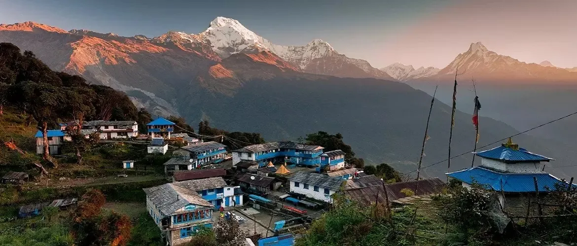Poon Hill (3,210m) - Tadapani (2,630m) 