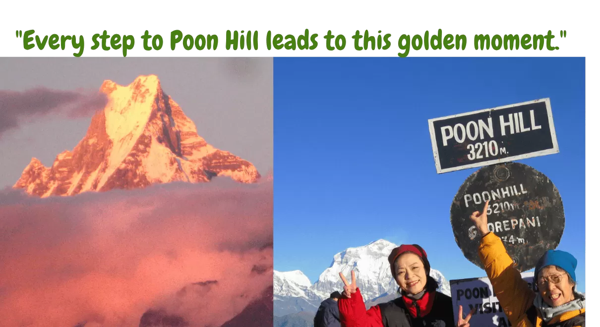 Poon Hill trek in Annapurna region - scenic Himalayan trekking route with mountain sunrise views
