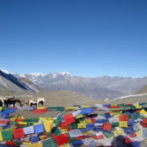 Ride from Throng Pedi to Muktinath (3805m).
