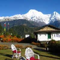 Tadapani to Syauli Bazaar (1,170m), Drive to Pokhara (827m) 