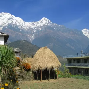 Tadapani经Ghandruk到博卡