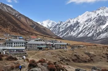 Trek from Lama Hotel to Langtang Valley