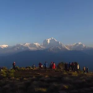 Trek from Tadapani to Gurjung Village (1,950m)