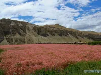 Trek Kagbeni to Chele (3,050m)