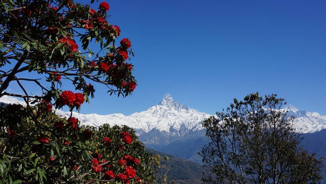 1 day trek in Nepal